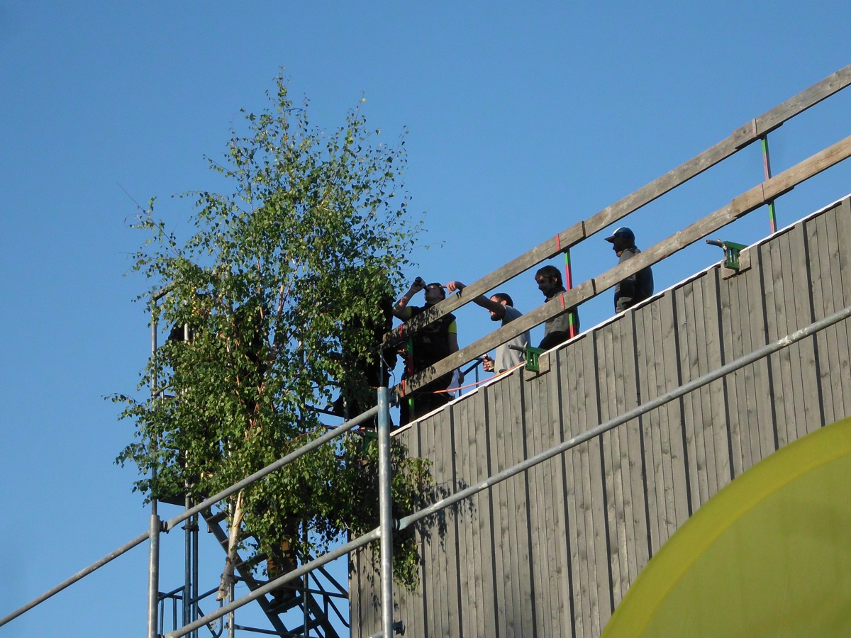 Handwerker beim Richtspruch und setzen des Richtbaumes